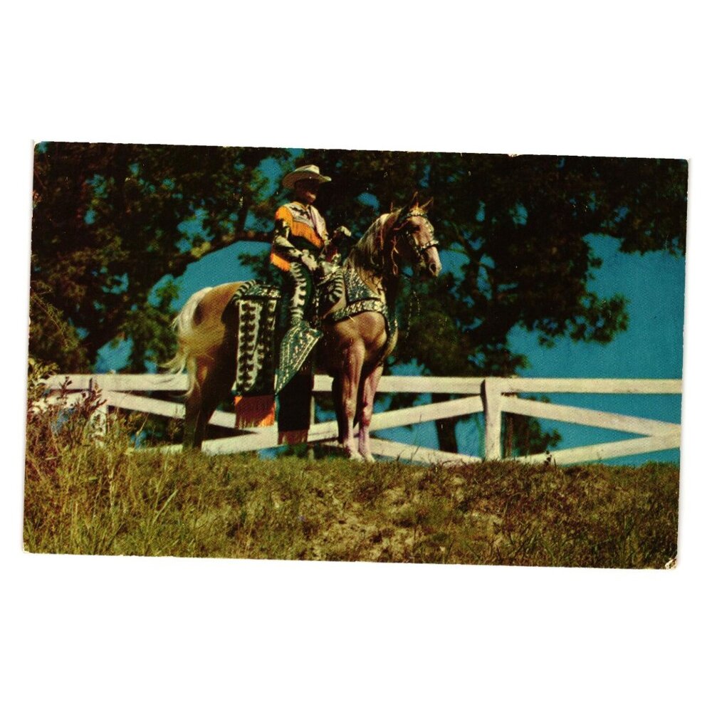 World Champion Palomino Horse Clyde Carter Northern Chief Postcard Printed USA